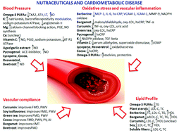 Graphical abstract: Food and plant bioactives for reducing cardiometabolic disease risk: an evidence based approach