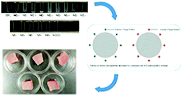 Graphical abstract: Physicochemical and antimicrobial properties of ε-polylysine/carboxymethyl chitosan polyelectrolyte complexes and their effect against spoilage microorganisms in raw pork