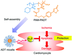 Graphical abstract: Hydrogen sulfide donor micelles protect cardiomyocytes from ischemic cell death