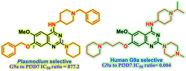 Graphical abstract: Histone lysine methyltransferase structure activity relationships that allow for segregation of G9a inhibition and anti-Plasmodium activity