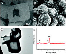 Graphical abstract: A sandwich-type electrochemical biosensor for alpha-fetoprotein based on Au nanoparticles decorating a hollow molybdenum disulfide microbox coupled with a hybridization chain reaction