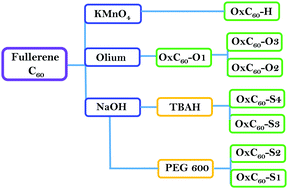 Graphical abstract: Oxidation route dependent proton conductivities of oxidized fullerenes