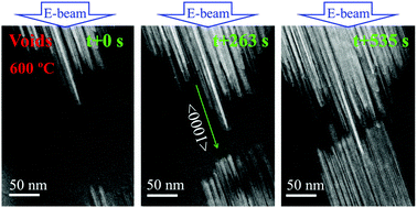 Graphical abstract: Real-time atomic scale observation of void formation and anisotropic growth in II–VI semiconducting ribbons