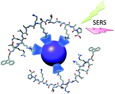 Graphical abstract: Probing lysine mono-methylation in histone H3 tail peptides with an abiotic receptor coupled to a non-plasmonic resonator