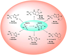 Graphical abstract: A divergent and metal free synthesis of sulfoximine tethered imidazoles, imidazopyridines, imidazothiazoles, imidazobenzothiazines, thiazoles and selenazoles