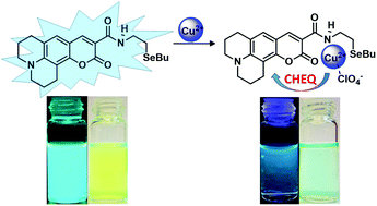 Graphical abstract: A selective emissive chromogenic and fluorogenic seleno-coumarin probe for Cu2+ detection in aprotic media