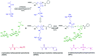 Graphical abstract: Study of the RAFT homopolymerization and copolymerization of N-[3-(dimethylamino)propyl]methacrylamide hydrochloride and evaluation of the cytotoxicity of the resulting homo- and copolymers