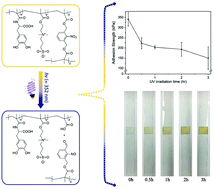 Graphical abstract: Photo-responsive bio-inspired adhesives: facile control of adhesion strength via a photocleavable crosslinker