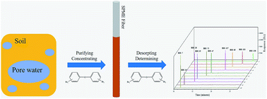 Graphical abstract: A solvent free method of analysis to rapidly determine trace levels of ten medium and low brominated diphenyl ethers in soil pore water