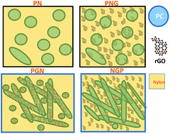 Graphical abstract: Manipulating selective dispersion of reduced graphene oxide in polycarbonate/nylon 66 based blend nanocomposites for improved thermo-mechanical properties