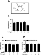 Graphical abstract: A novel organosulfur compound, thiacremonone, regulates RANKL-induced osteoclast differentiation