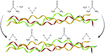 Graphical abstract: The influence of water, lanolin, urea, proline, paraffin and fatliquor on collagen D-spacing in leather