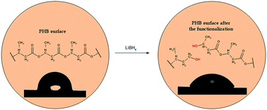 Graphical abstract: The heterogeneous selective reduction of PHB as a useful method for preparation of oligodiols and surface modification