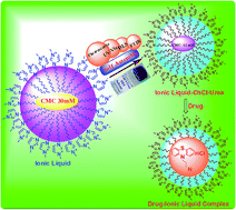 Graphical abstract: Self-assembly of a short-chain ionic liquid within deep eutectic solvents