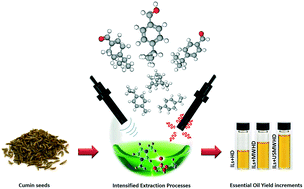 Graphical abstract: Ionic liquids, ultra-sounds and microwaves: an effective combination for a sustainable extraction with higher yields. The cumin essential oil case