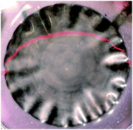 Graphical abstract: Buckling of elastomer sheets under non-uniform electro-actuation