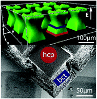 Graphical abstract: Colloidal assembly and 3D shaping by dielectrophoretic confinement