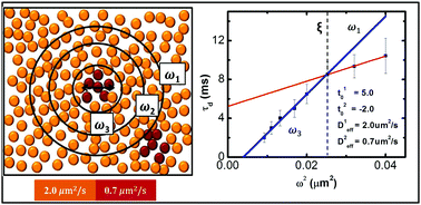 Graphical abstract: Emergence of compositionally tunable nanoscale dynamical heterogeneity in model binary lipid biomembranes