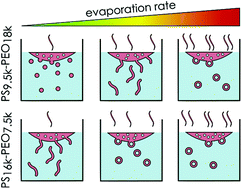 Graphical abstract: Towards a rational morphology control of frozen copolymer aggregates