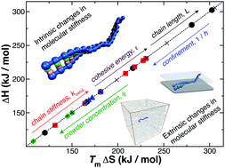 Graphical abstract: Molecular rigidity and enthalpy–entropy compensation in DNA melting