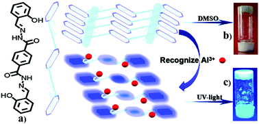 A novel thermo-responsive supramolecular organogel based on dual ...