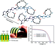 Graphical abstract: Flexible and highly efficient perovskite solar cells with a large active area incorporating cobalt-doped poly(3-hexylthiophene) for enhanced open-circuit voltage