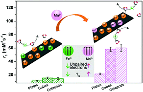 Graphical abstract: Surface manganese substitution in magnetite nanocrystals enhances T1 contrast ability by increasing electron spin relaxation