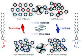 Graphical abstract: Controlling the assembly and spin transport of tetrathiafulvalene carboxylate coated iron oxide nanoparticles