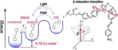 Graphical abstract: Effect of secondary relaxation transitions on photo-induced anisotropy in glassy azobenzene-functionalized polymers