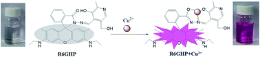 Graphical abstract: A rapid and naked-eye visible rhodamine 6G-based chemosensor for sensitive detection of copper(ii) ions in aqueous solution