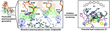 Graphical abstract: Protein–DNA complex-guided discovery of the antibacterial lead E1 for restoring the susceptibility of Klebsiella Pneumoniae to polymyxin B by targeting the response regulator PmrA