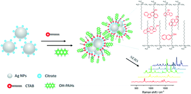 Graphical abstract: CTAB-triggered Ag aggregates for reproducible SERS analysis of urinary polycyclic aromatic hydrocarbon metabolites