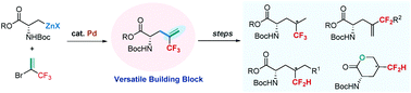 Graphical abstract: Palladium-catalyzed cross-coupling of unactivated alkylzinc reagents with 2-bromo-3,3,3-trifluoropropene and its application in the synthesis of fluorinated amino acids