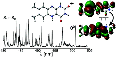 Graphical abstract: Optical spectroscopy of isolated flavins: photodissociation of protonated lumichrome