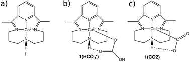 Graphical abstract: Reaction mechanism of the selective reduction of CO2 to CO by a tetraaza [CoIIN4H]2+ complex in the presence of protons