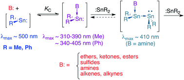 Graphical abstract: Fast kinetics studies of the Lewis acid–base complexation of transient stannylenes with σ- and π-donors in solution