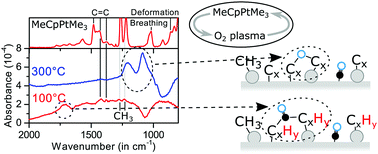 Graphical abstract: Surface species during ALD of platinum observed with in situ reflection IR spectroscopy