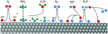 Graphical abstract: The effect of surface coverage on N2, NO and N2O formation over Pt(111)