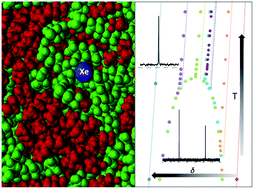 Graphical abstract: From nano-emulsions to phase separation: evidence of nano-segregation in (alkane + perfluoroalkane) mixtures using 129Xe NMR Spectroscopy