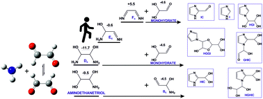 Graphical abstract: Theoretical analysis of glyoxal condensation with ammonia in aqueous solution