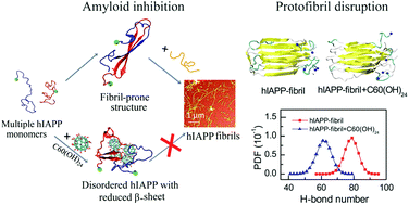 Graphical abstract: Influence of fullerenol on hIAPP aggregation: amyloid inhibition and mechanistic aspects