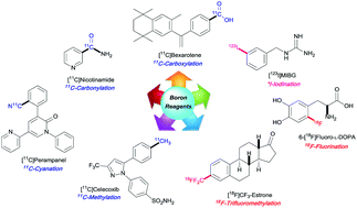 Graphical abstract: Boron reagents for divergent radiochemistry