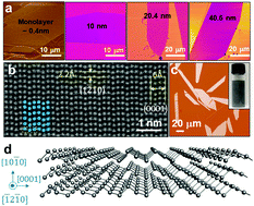 Graphical abstract: Tellurene: its physical properties, scalable nanomanufacturing, and device applications