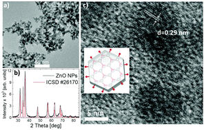 Graphical abstract: The role of l-cysteine and introduced surface defects in reactive oxygen species generation by ZnO nanoparticles