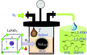 The catalytic behaviour in aqueous-phase hydrogenation over a renewable ...