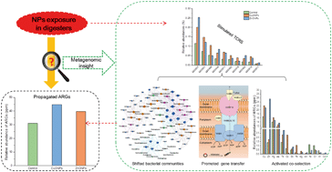 Graphical abstract: CuO and ZnO nanoparticles drive the propagation of antibiotic resistance genes during sludge anaerobic digestion: possible role of stimulated signal transduction