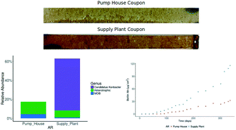 Graphical abstract: Potential for manganese biofouling in water transmission lines using model reactors