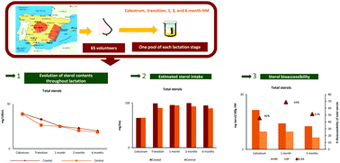 Graphical abstract: Sterols in human milk during lactation: bioaccessibility and estimated intakes