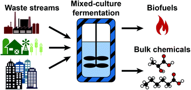 The environmental biorefinery: state-of-the-art on the production of ...