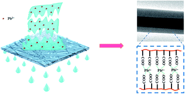 Graphical abstract: Electrospun superhydrophilic membranes for effective removal of Pb(ii) from water